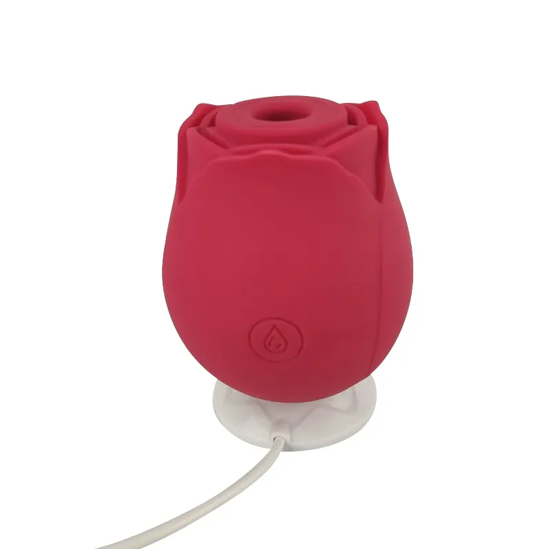 Stimulator klitorisa Loving Joy Rose - crveni Stimulator klitorisa Loving Joy Rose - crveni prikazan na USB magnetskom punjaču