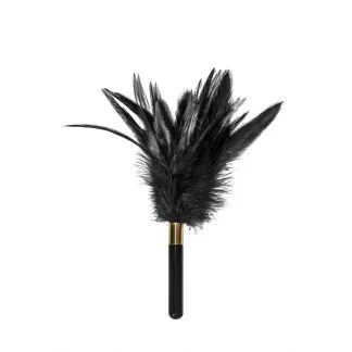 Peruška crna - Burlesque Plume